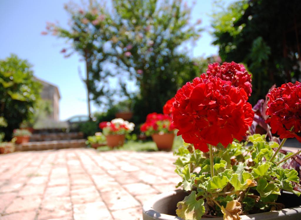 Corte Bussari Bed & Breakfast Arquà Polesine Exterior photo